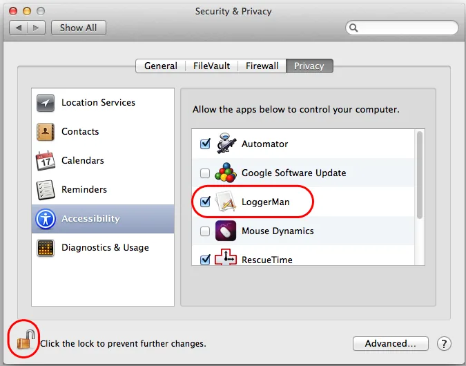Accessibility privacy settings with LoggerMan ticked